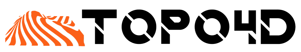 Topo4D logo